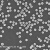 单分散聚苯乙烯磁性微球ps微米/纳米磁珠羧基化生物磁珠偶联 2克磁珠粉末