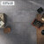 欧文莱素色瓷砖600x1200现代客厅地板砖灰印象SGIV612S4197M（整箱起售) 600x1200 (单片价格 2片/箱）