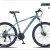 RSRDDYtmik自行车TMIK天迈宾客100山地越野双碟刹学生男式女式21速 2617寸车架 白钻粉
