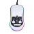 微星（MSI）有线游戏鼠标 RGB炫彩灯效 电竞鼠标 吃鸡鼠标 信仰龙魂灯 DS102-白色
