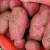 水果蔬菜甘肃定西红皮沙面粉糯新鲜土豆5/9斤蔬菜红皮黄心土豆马铃薯洋芋 红皮 9斤红皮大土豆(带箱)