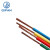 起帆（QIFAN）电缆 BVR-450/750-1*25平方国标单芯多股铜芯软线 黄色1米【11米起售】