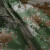 者也（ZYE）反光雨衣套装分体式 雨衣雨裤防水雨衣男女高速路政道路公路巡逻 007式草绿色/3XL码