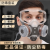 DYQT防毒口罩防尘全面罩面具喷漆面罩活性炭化工防护工业粉尘放毒氧气 双倍过滤防尘毒（送50片滤
