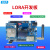 德飞莱 LORA串口模块STM32开发板4G网关物联网云平台LORAWAN协议 LORA开发板+3.7v锂电池