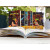罗克数学荒岛历险记(共10册) 李毓佩数学故事趣味童话集系列 8克隆罗克
