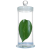 玻璃标本瓶加厚标本缸植物样品瓶展示瓶病理瓶福尔马林液浸泡瓶 白色 45*180mm