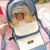 摩登孕妈婴儿提篮外出便携摇篮睡篮车载新生婴儿手提篮婴儿篮宝宝摇篮床 宝蓝色