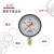 红旗牌仪表YTN-100/YN-100抗震压力表耐震压力表充油压力表真空表 -0.1~0.3MPa