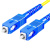 冰禹 BYjq-168 SC-SC单模光纤跳线sc尾纤跳线网络线电信级 单模SC/UPC-SC/UPC 2米/条