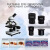东部工品 电子生物显微镜高清光学实验室单目显微镜 单目微调显微镜81 