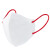 Sagovo 一次性口罩 外用医科灭菌3D立体折叠舒适透气防尘防飞沫 耳带式 白色10只