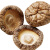 川珍天马香菇300g干香菇菌菇干货干菌子煲汤食材 香菇