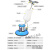 定制适用洗地毯机器清洗机工业手推式洗地机商用酒店多功能刷地单擦机 单地毯刷版 1500W大功率