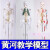 45 85 170cm人体骨骼模型骨架人体模型成人小白骷髅教学脊椎全身 170厘米【彩色带神经+间椎盘】 肌肉起止点