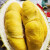 兄盟鲜果马来西亚D197液氮冷冻猫山王榴莲肉整个新鲜水果 （6-6.5斤）果王