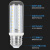 佛山照明（FSL）LED灯泡节能灯泡E27大螺口玉米灯泡轻奢吊灯光源 9W-E27-暖白光4000K