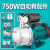 SEHFMJTE-G不锈钢增压泵全自动自吸泵220V自来水管道加压泵水井抽水机