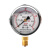 红旗 仪表抗震压力表YTN-60液压表防震耐震0-1.6MPA油压水压气压过载保护表 耐震YTN-60【0~2.5MPa】