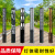 动真格（DongZhenGe）户外LED方形景观灯柱太阳能方灯3米道路灯广场花园别墅柱形AA 款式一高2m宽20cm