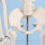 钢骑士 人体骨骼模型 全身骷髅骨架展示教学写生模型人体骨架模型带半边肌肉 人体骨骼模型85cm