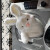 捉趣（ZHUOQU）大白兔子毛绒玩具抱枕公仔布娃娃抱睡鸭子玩偶兔年孩女友生日礼物 慵懒兔 80cm