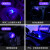 神火  伍德氏灯充电照猫藓测试荧光剂鉴定紫光灯365nm验钞翡翠专用紫外线大功率12瓦续航8小时 Z03