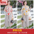 熊迪明夏装短袖套装中年装洋气雪纺两件套减龄时尚宽松 红花 XL(建议100斤左右)