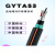 GYTA53-4B1.3防鼠重铠光纤8/12/24/36/48/72/96/144芯直地埋光缆 GYTA53-24B1.3