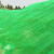 伏旺 盖土网绿化网 建筑工地防尘网绿化遮阳盖沙网盖煤网可定制 绿色8针8*40米