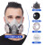 盛融乾防尘防工业粉尘面罩高效打磨装修全脸灰粉口鼻罩透气面具头罩 6200双罐防尘面具