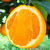 品声正宗重庆奉节伦晚脐橙礼盒装源头产地直发薄皮新鲜水果橙子甜橙 65mm（包含）-70mm（不含）小果 带箱20斤（两层包装）