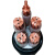 铜芯国标阻燃ZR-YJV2 3 4 5芯10 16 25 35平方护套电缆线电线 铜芯国标5芯16平方每10米