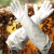 铸固 防蜂手套 羊皮防护防蛰收蜂防蜂蛰养蜜蜂养蜂用工具手套 灰色 