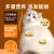 宽福（KUANFU）成猫猫粮全价猫粮10kg幼猫实惠装500g营养增肥通用猫粮试吃装猫粮 肉奶双享鲜肉猫粮10斤