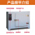 焊条烘干箱 400度500度600度高温恒温干燥箱模具电焊条工业试验烤 DHG600-4内部尺寸(80x80x100) 6
