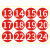 百舸 PVC不干胶数字贴 彩色号码贴纸餐桌号贴比赛选手编号贴活动序号贴 红色大号贴纸10cm 1—24 （两组）