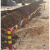 路旗彩旗工地安全警示三角隔离带彩色警戒线小围绳 80米 一包