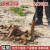 精品洛阳铲头取土器挖土坑打洞打井对锹考古勘探杆洞 1把铲头5米（每节1米）