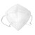 华特HT9510折叠防尘口罩（耳戴，10个装）KN95防尘透气防飞沫雾霾口罩防工业粉尘防护用品