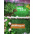 绿植墙仿真植物草坪塑料人造假草皮客厅阳台绿色背景花墙门头装饰 布花尤加利 十个装 0cm