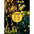 倍绿太阳能灯户外庭院灯LED灯串家用防水花园装饰满天星星挂树彩灯带 200LED 22米 暖白 八功能
