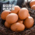 华北强新鲜鸡蛋农家散养 4枚装单枚40-50g
