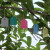 安赛瑞 PVC吊牌（1000张）彩色标签吊签牌花卉园艺塑料小挂牌防水标签园艺 蓝色 6×4cm 530338
