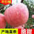 教蔬鲜生红富士老人孕妇儿童新鲜脆甜高山红富士正宗中庄苹果 8斤 85mm(含)-90mm(不含)