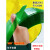 PET塑钢打包带1608净20kg无纸心绿 色透明手工塑料捆扎包装带 绿色 160620公斤 约1400米 半透