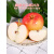 格沃斯（GEWOSI）新鲜嘎啦苹果10斤装应当季水果青红富士香甜冰糖 85mm含-90mm(不含) 9斤