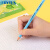 LYRA德国艺雅彩色铅笔 小学生用书写 绘图铅笔 HB-12支装/盒 浅粉梅 L1770204C