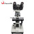 凤凰（Phenix）双目生物显微镜 高倍高清科普教育医学用 畜牧养殖细胞观察 XSP-36-1600X 600946