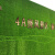 工地围挡草坪绿布仿真草坪人造假草坪网市政工程施工绿色草皮围墙 春草3厘米加密背胶（2*25米）